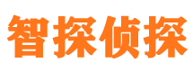 延川侦探